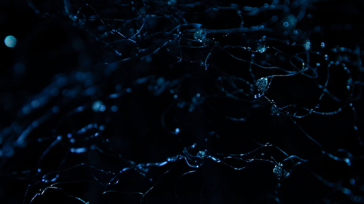 131022_CLOSE_06.00_00_15_00.Still002
